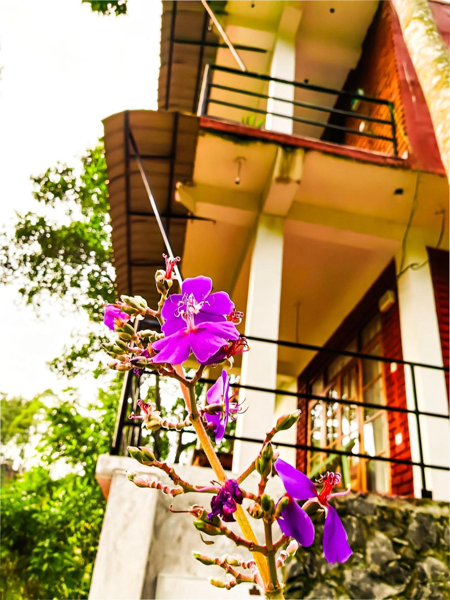 Ella Rock Glance Villa Exterior foto