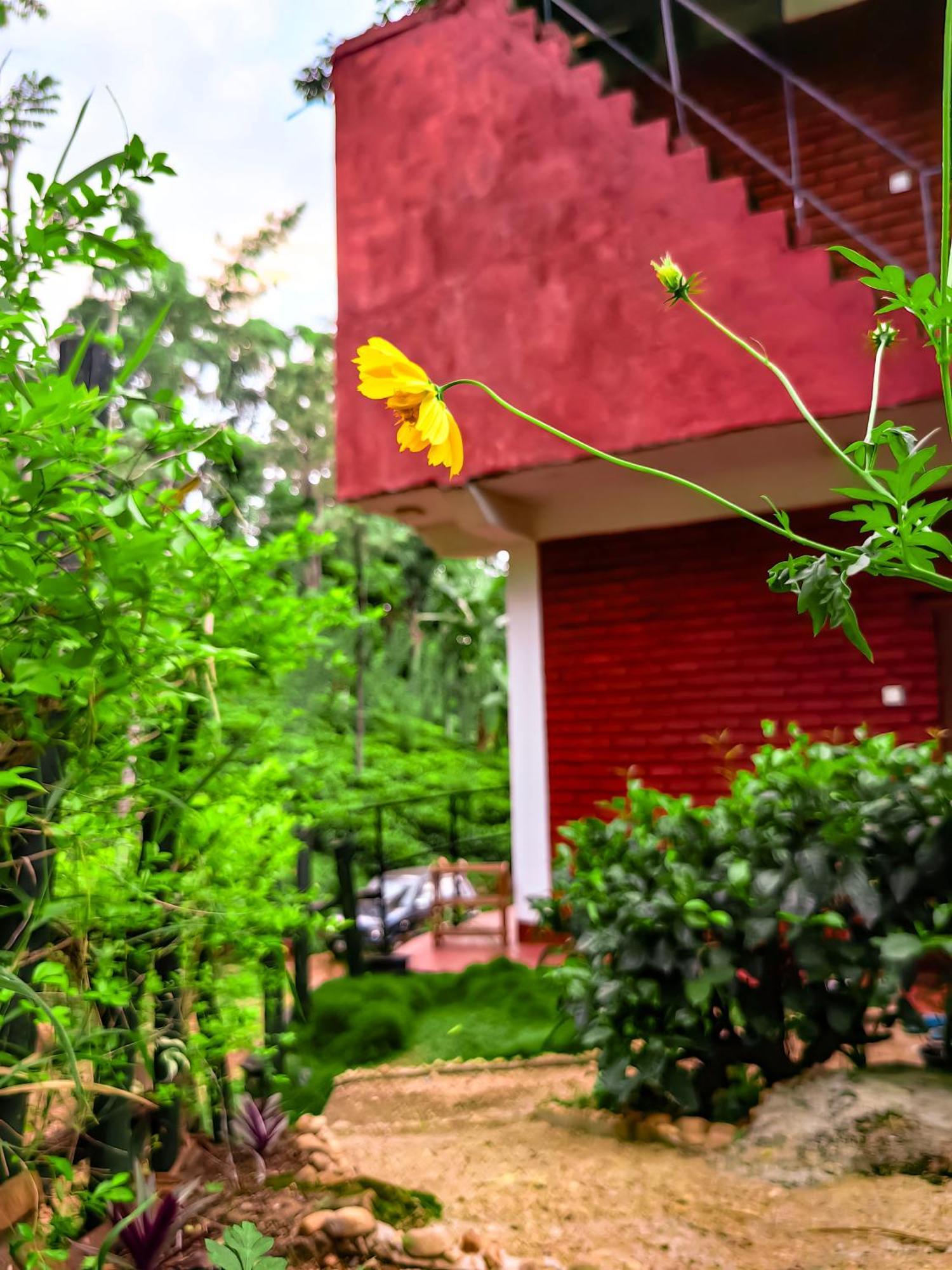 Ella Rock Glance Villa Exterior foto
