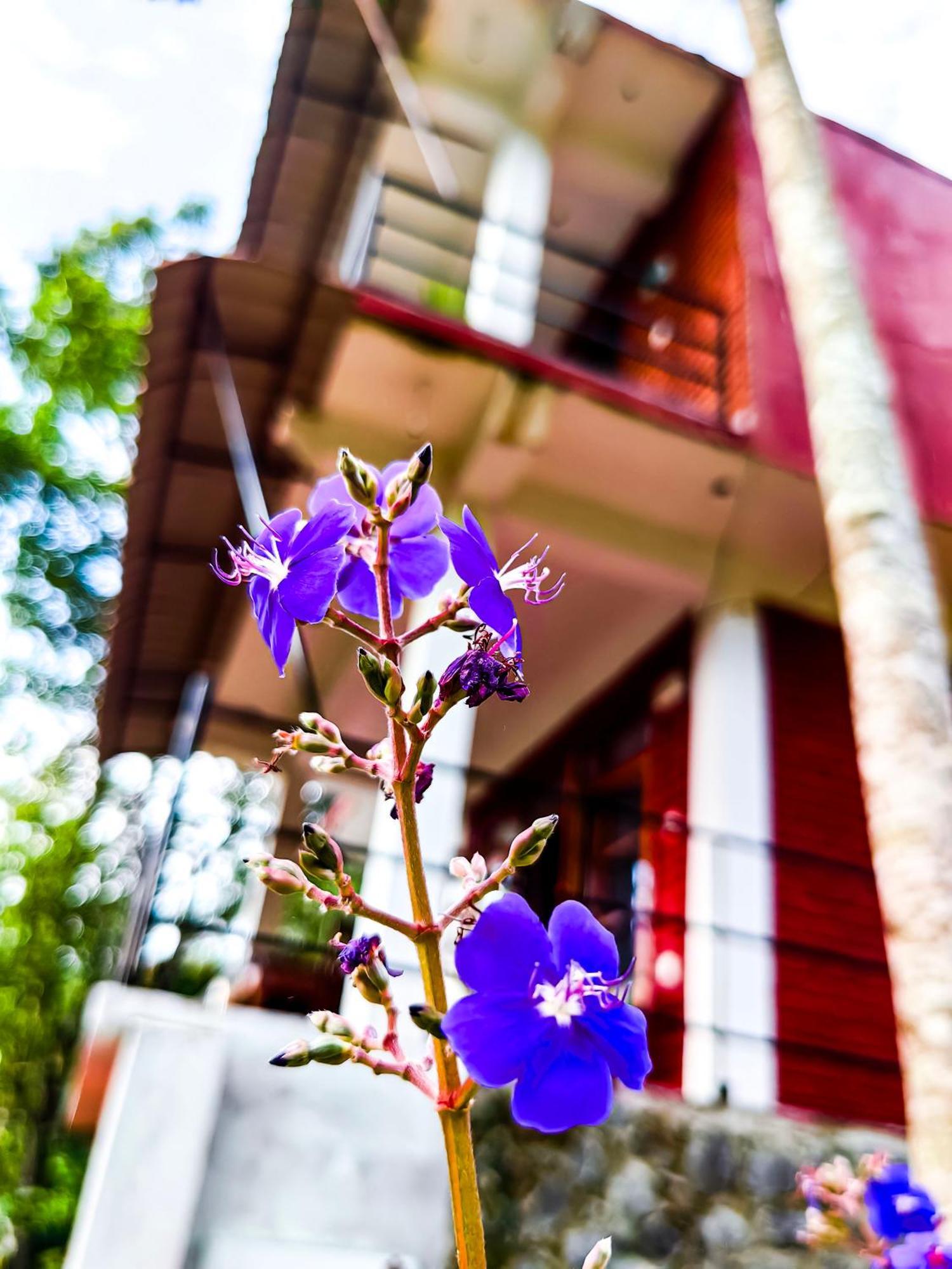 Ella Rock Glance Villa Exterior foto